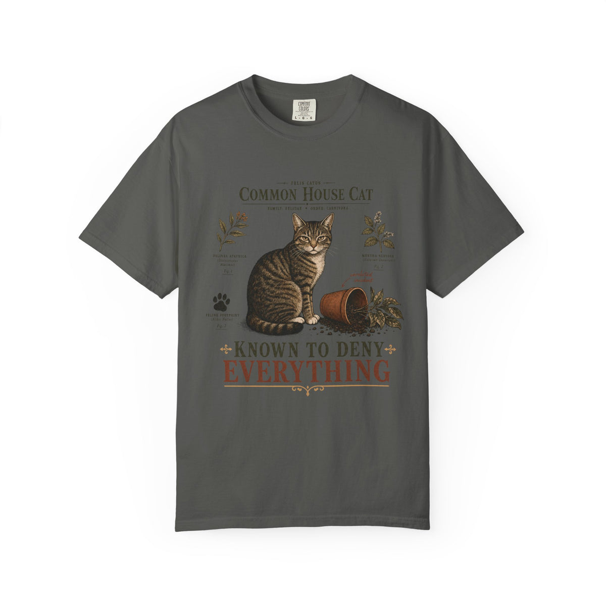 Common House Cat Known To Deny Everything Funny Cat Shirt | Vintage Scientific Field Guide Tabby Cat Tee | Funny Cat Mom Shirt