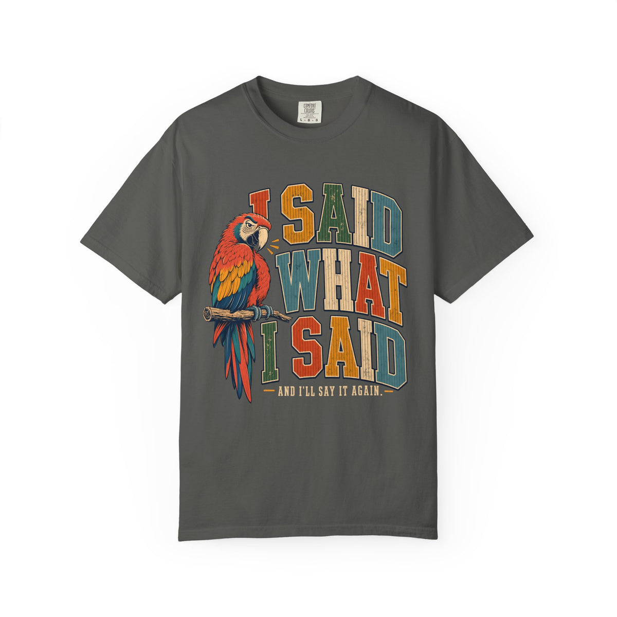 I Said What I Said Shirt, Funny Parrot Tee, Macaw Bird Lover Gift, Sassy Bird Mom Shirt, Retro Varsity Comfort Colors