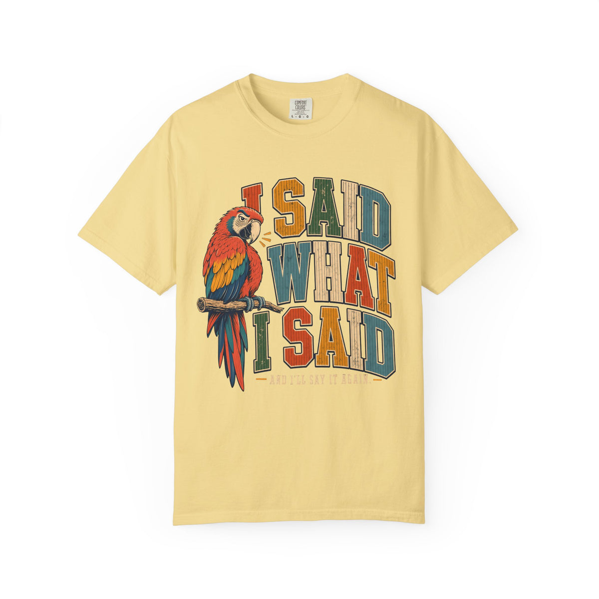 I Said What I Said Shirt, Funny Parrot Tee, Macaw Bird Lover Gift, Sassy Bird Mom Shirt, Retro Varsity Comfort Colors