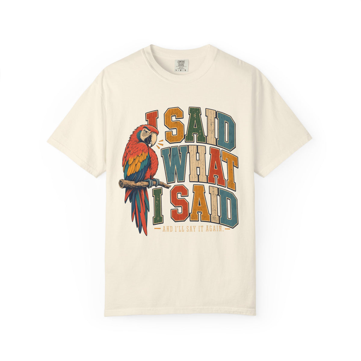 I Said What I Said Shirt, Funny Parrot Tee, Macaw Bird Lover Gift, Sassy Bird Mom Shirt, Retro Varsity Comfort Colors
