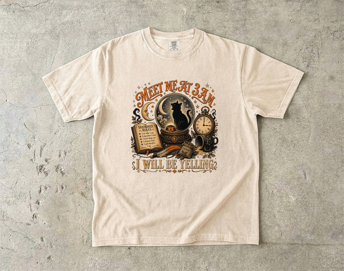 Meet Me At 3AM I Will Be Yelling Funny Black Cat T-Shirt