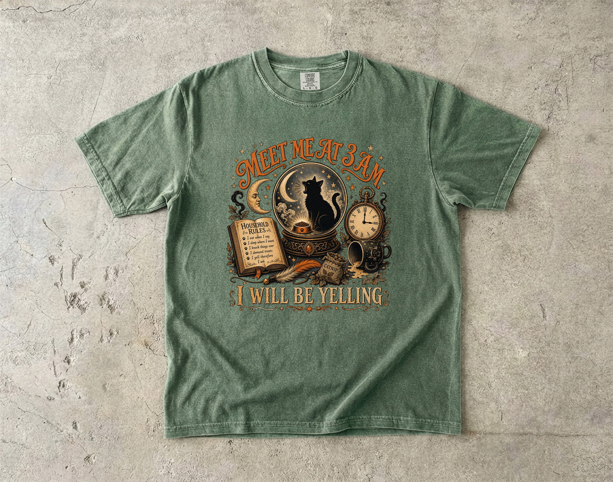 Meet Me At 3AM I Will Be Yelling Funny Black Cat T-Shirt