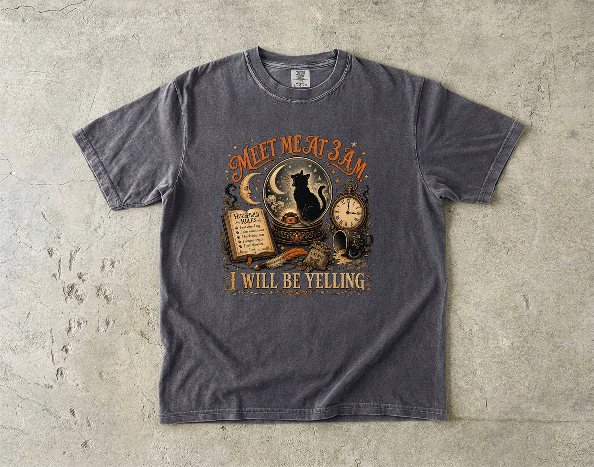 Meet Me At 3AM I Will Be Yelling Funny Black Cat T-Shirt