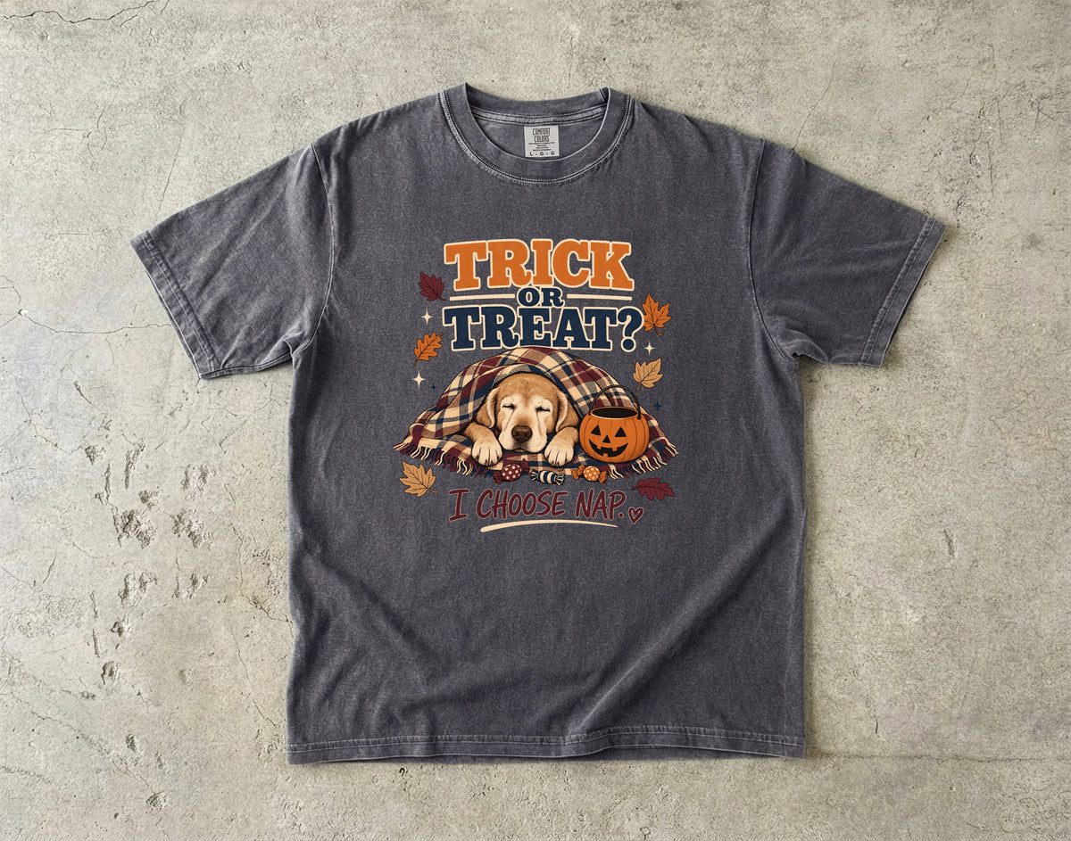 Trick Or Treat I Choose Nap Funny Sleepy Dog Halloween Shirt | Golden Retriever Puppy Cozy Plaid Blanket Tee | Funny Dog Mom Halloween Shirt