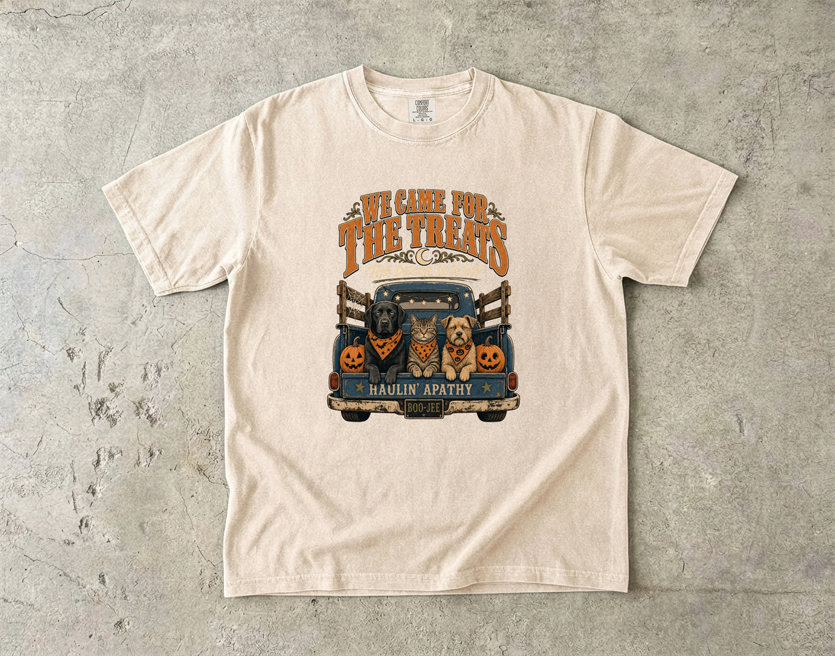 We Came for the Treats The Decor Is a Lot Shirt – Funny Dog and Cat Vintage Truck Halloween Tee, Comfort Colors