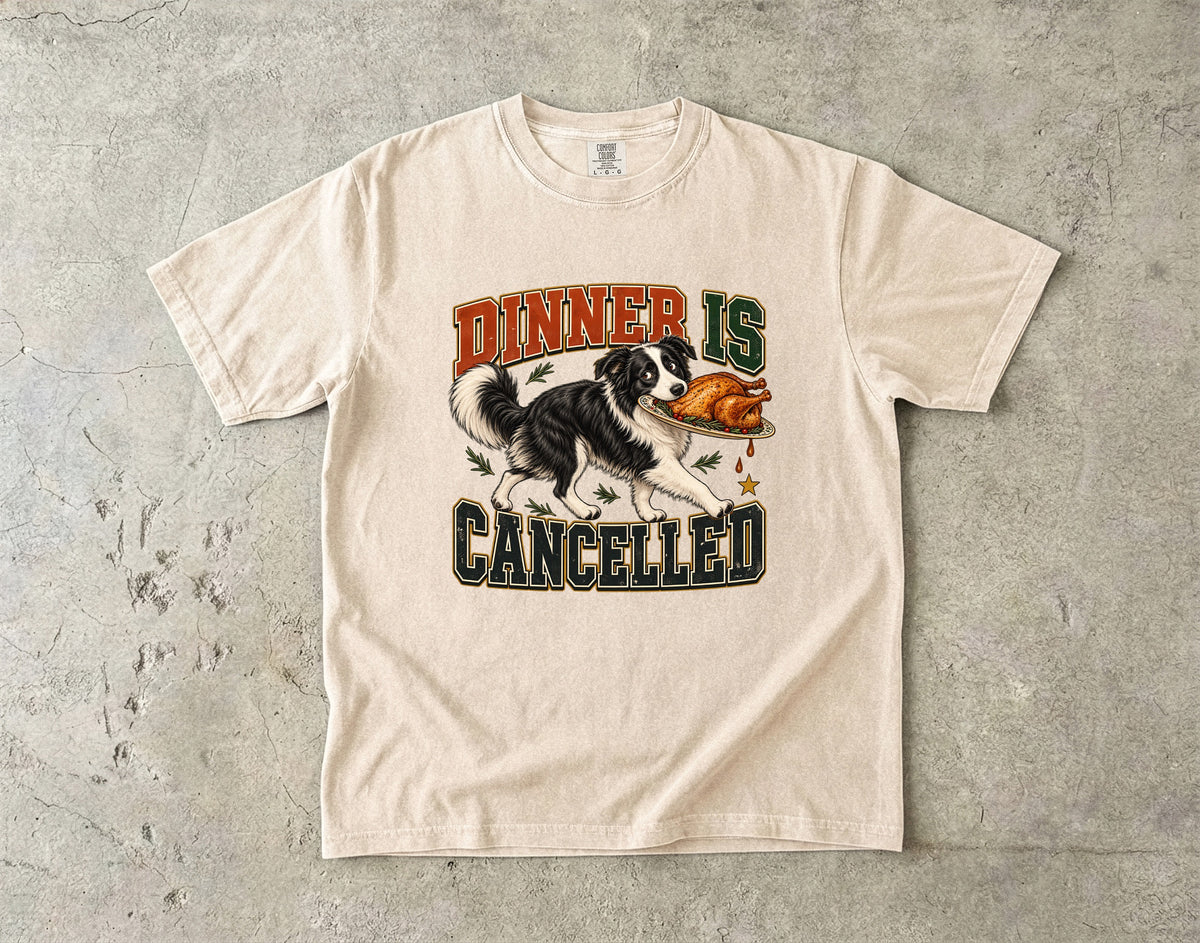Dinner Is Cancelled Shirt, Funny Border Collie Thanksgiving Tee, Dog Stole the Turkey Shirt, Comfort Colors Dog Mom Gift