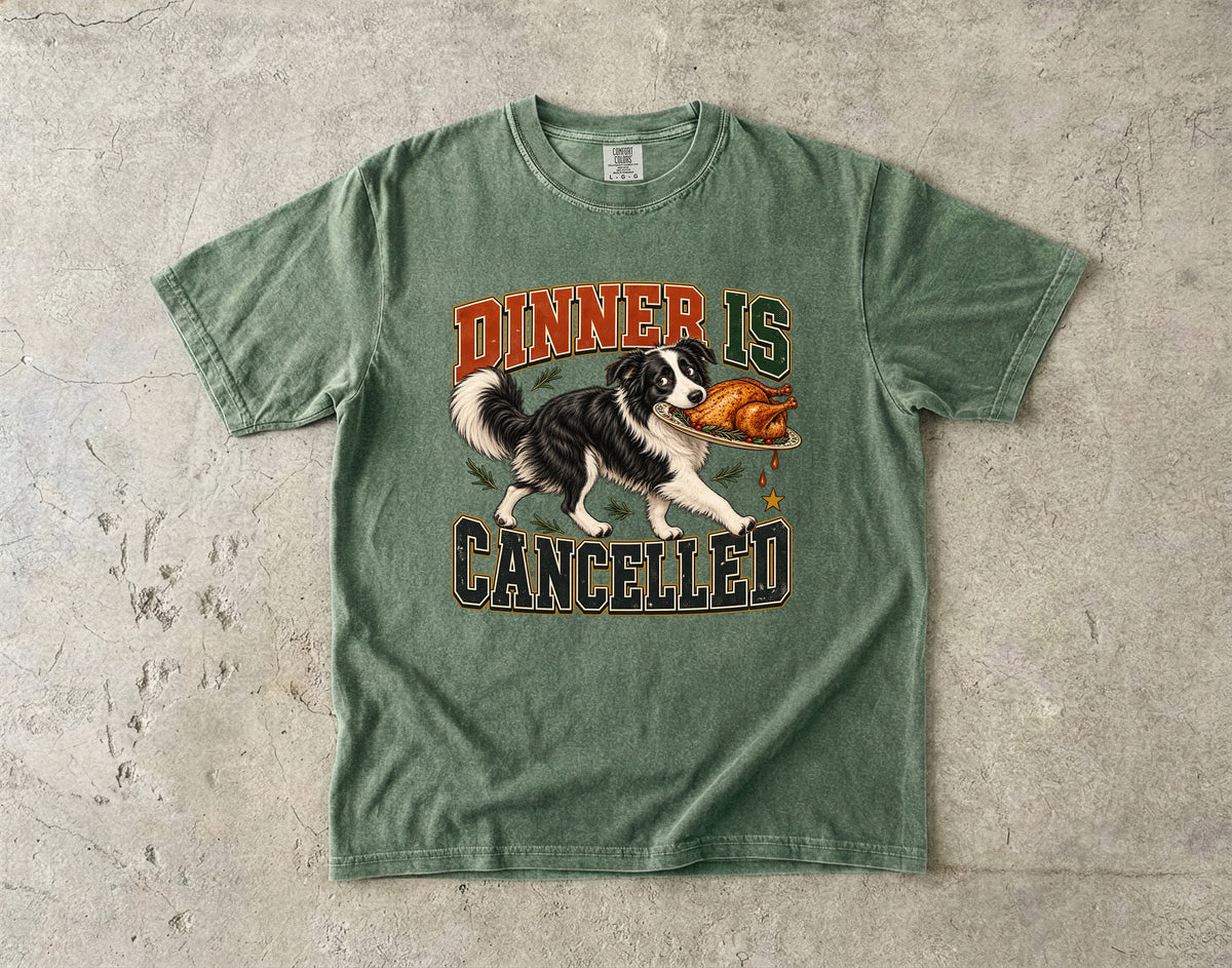 Dinner Is Cancelled Shirt, Funny Border Collie Thanksgiving Tee, Dog Stole the Turkey Shirt, Comfort Colors Dog Mom Gift