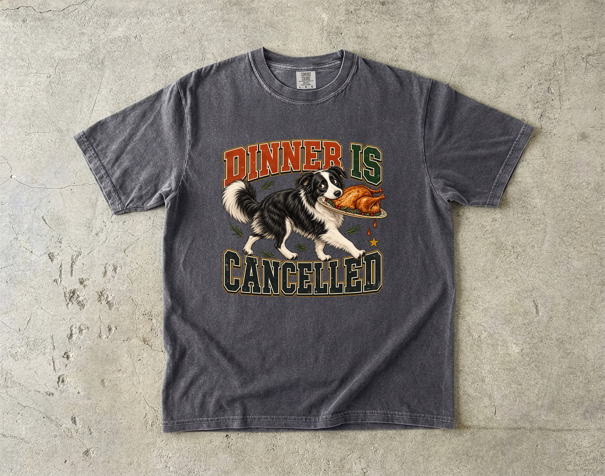 Dinner Is Cancelled Shirt, Funny Border Collie Thanksgiving Tee, Dog Stole the Turkey Shirt, Comfort Colors Dog Mom Gift
