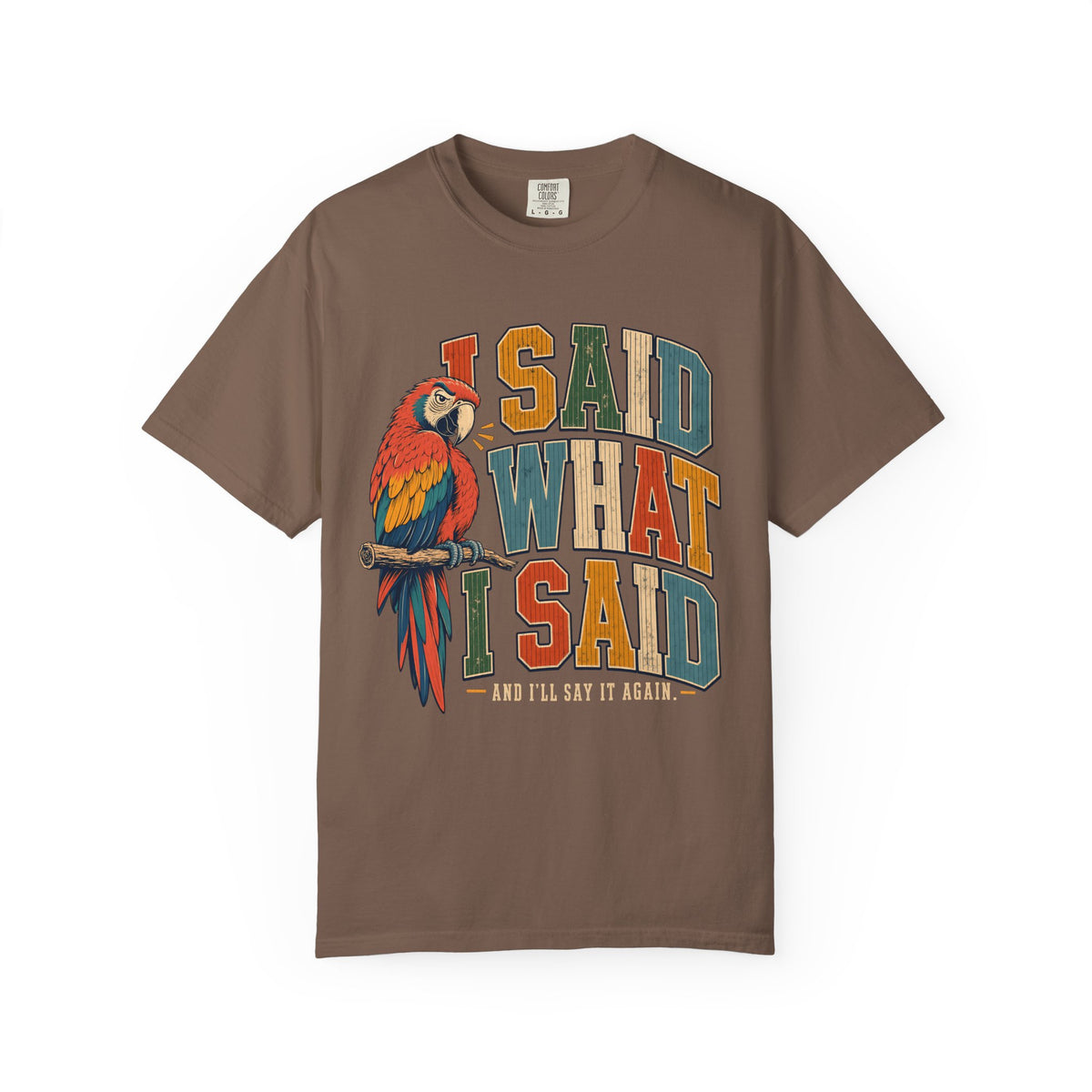 I Said What I Said Shirt, Funny Parrot Tee, Macaw Bird Lover Gift, Sassy Bird Mom Shirt, Retro Varsity Comfort Colors