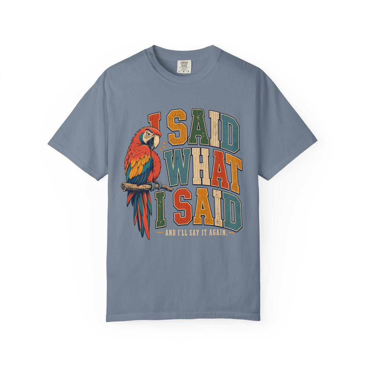 I Said What I Said Shirt, Funny Parrot Tee, Macaw Bird Lover Gift, Sassy Bird Mom Shirt, Retro Varsity Comfort Colors