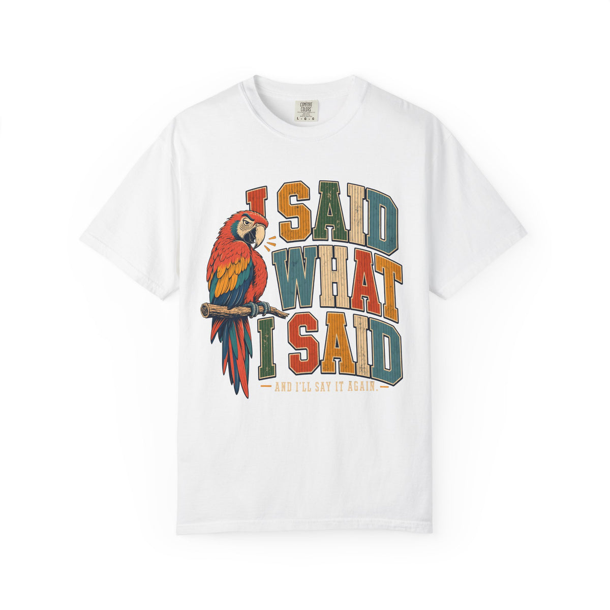 I Said What I Said Shirt, Funny Parrot Tee, Macaw Bird Lover Gift, Sassy Bird Mom Shirt, Retro Varsity Comfort Colors